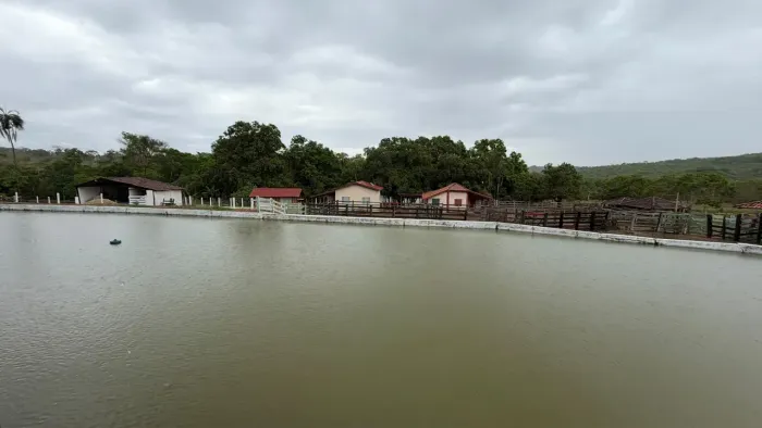 Fazenda a venda em Mairipotaba - Goiás!!!