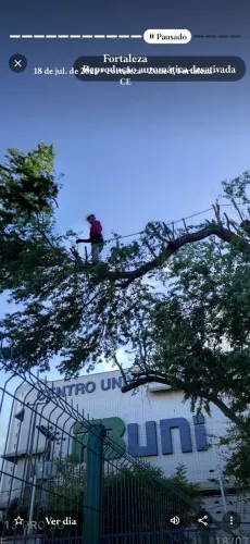 Serviço de corte e poda de árvore * motoserra serra elétrica cortador podador jardineiro 