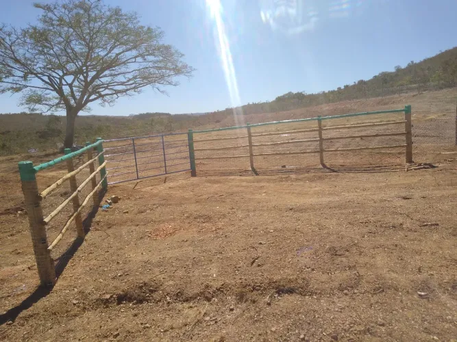 OPORTUNIDADE ÚNICA: 3 HECTARES, 100% APROVEITÁVEL, PERFEITOS PARA CAFÉ!!