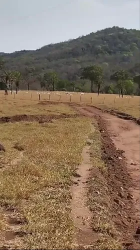 Fazenda de 103 alqueires em Córrego do ouro-GO