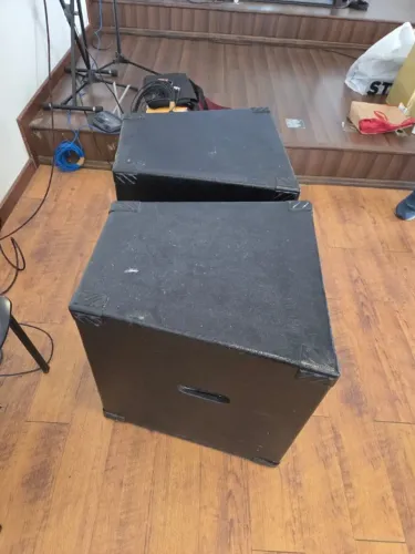 Subwoofer Profissional