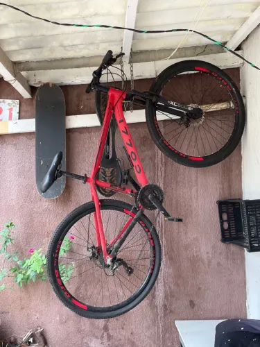 Colli com aro de 29 polegadas
