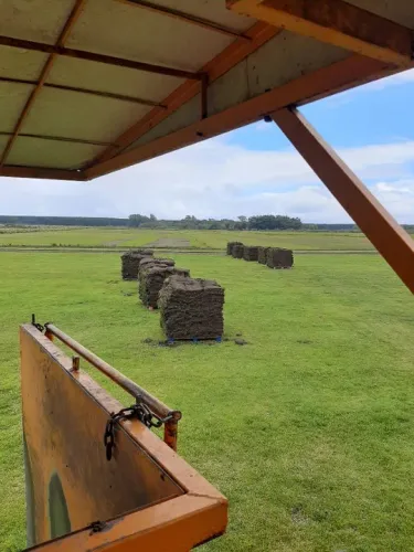 GRAMA ESMERALDAS DE SEGUNDA NO PALETE