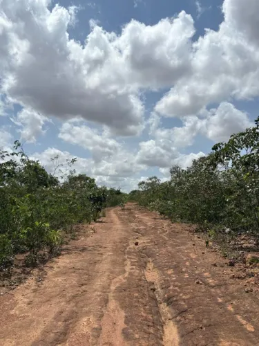 Fazenda em Alto Parnaíba do Maranhão