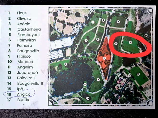 JAZIGO PERPÉTUO BOSQUE DA ESPERANÇA BH