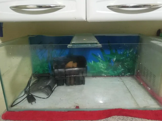 Vendo aquário por 200reias tiver interessado (a)entrar em contato
