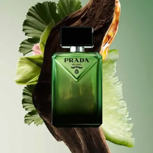 Prada Paradigme APC