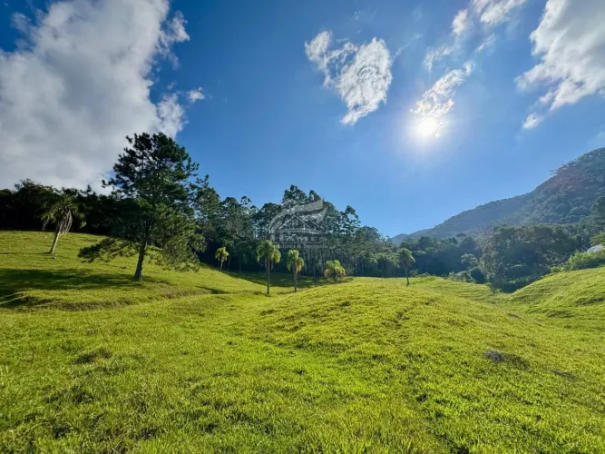 Terreno Rural para Venda em Angelina, LINHA DO CHAVES