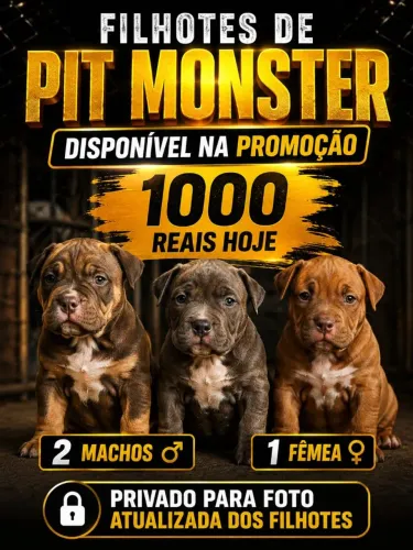 Filhotes