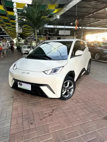 BYD Dolphin Mini (Elétrico) 2024