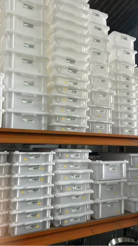 Caixa organizadoras para temperatura negativas
