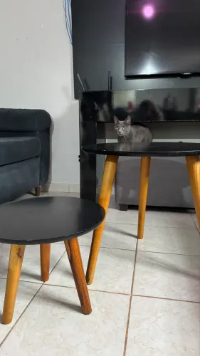 Conjunto Mesinhas Sala