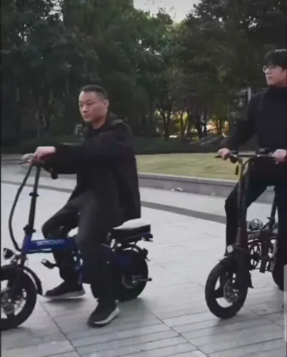 Bicicleta Elétrica SKYBOARD Dobrável Bivolt 48V15Ah autonomia 45km
