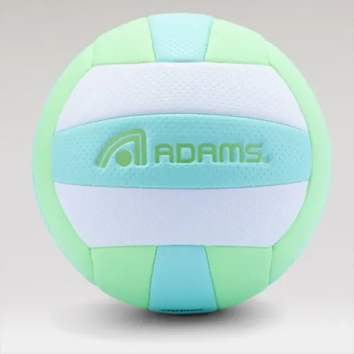 Bola de volei de praia
