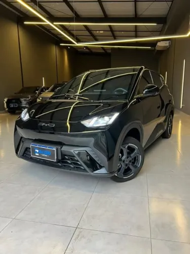 BYD Dolphin Mini (Elétrico) 2024