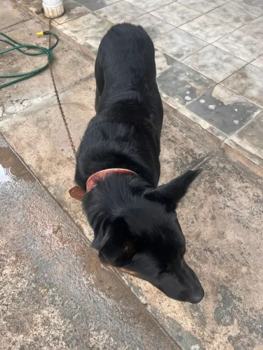 Doação