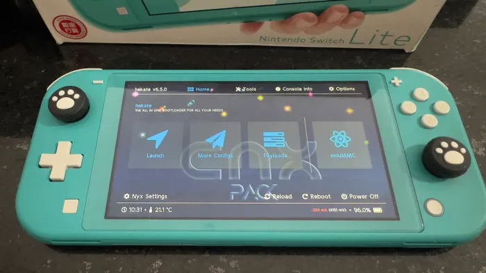 Nintendo Switch Lite