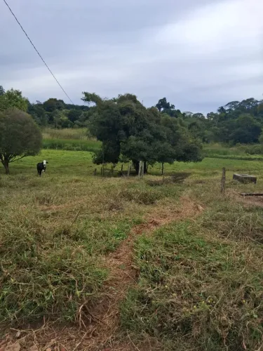 Isitio em arcerburgo 20 mil metros 330.000.00 ( ren )