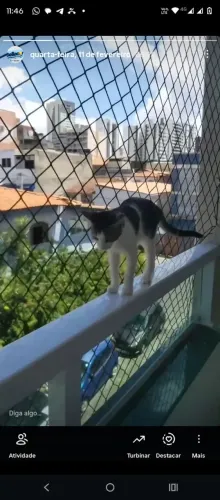 Redes de proteção