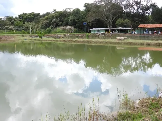 Chacara a venda com 3 hectares de propriedade