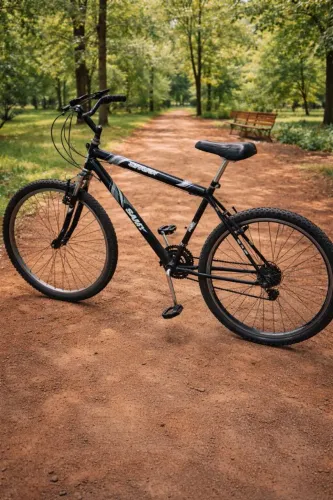 BICICLETA ARO 29