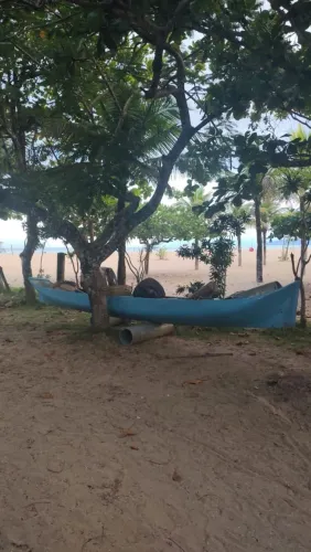 VENDE-SE CANOA DE MADEIRA