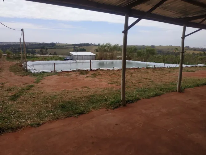 Chácara 7.500 M2 Mandaguaçu