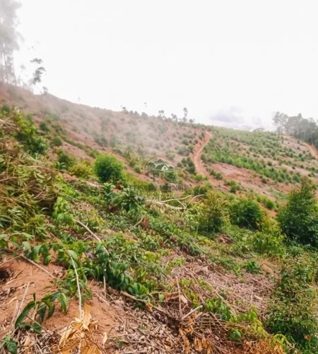 Terreno Rural de 15 Hectares em Itarana - ES com Pagamento Facilitado.