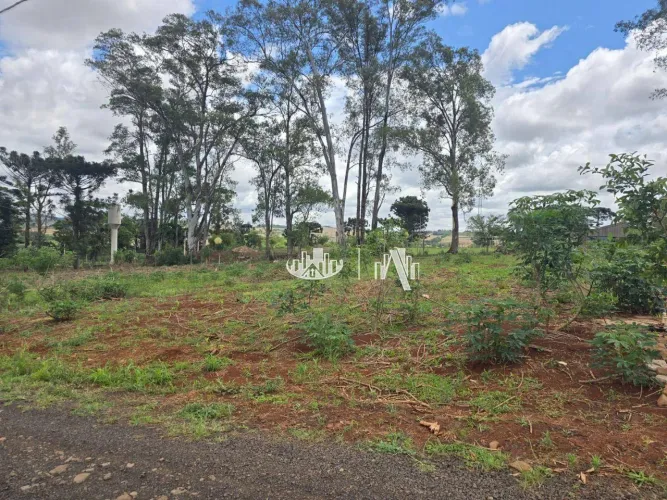 Chácara à venda, 1000 m² por R$ 180.000,00 - Zona Rural - Londrina/PR