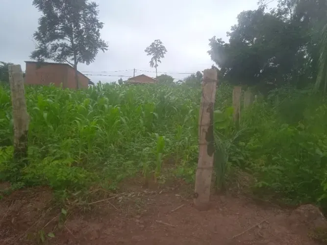 Vendo terrenos em ótima localização na vila João de Deus Amarante do Maranhão