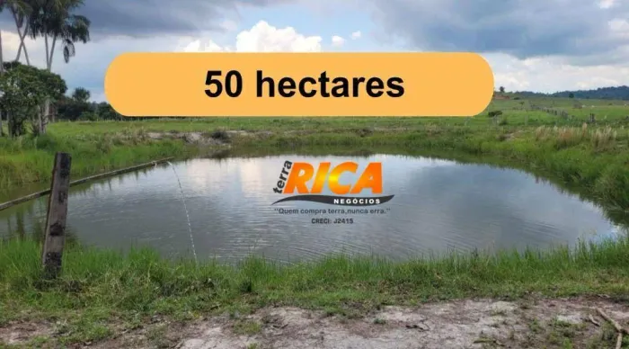 VENDE-SE EXCELENTE SÍTIO 45 KM DE CANDEIAS DO JAMARI - COM 50 HECTARES PARA PASTO
