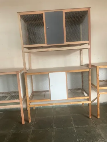 Viveiro para pintinhos
