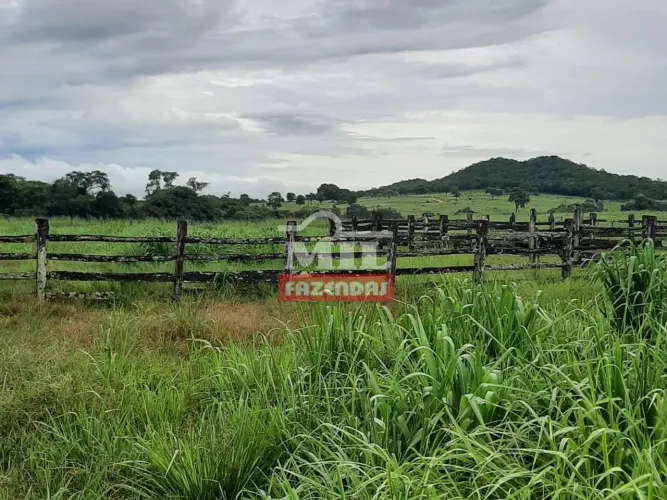 Fazenda em Montes Claros de Goiás - 33,5 alq. ( 162 hectares)