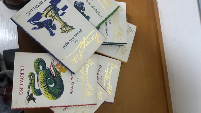 Coleção o Mundo Mágico de Harry Potter 