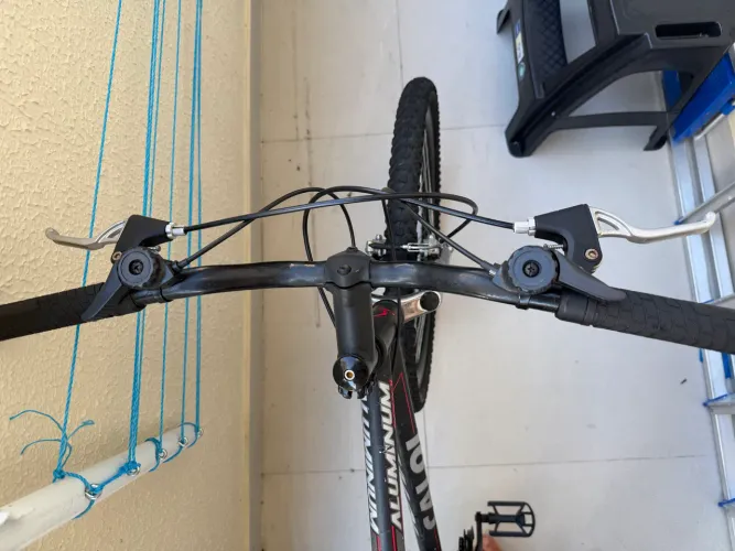 Bicicleta calloi