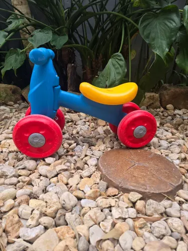 Bicicleta de Equilíbrio Bandeirante