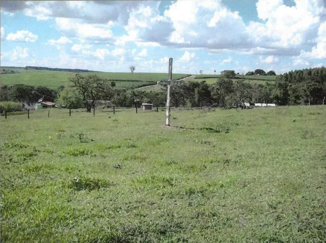Sitio Bela Vista - Venda - Santa Rosa do Viterbo