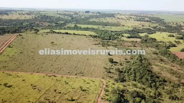 Área rural 5,62 alqueires - Valor abaixo do mercado