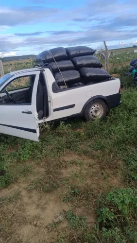 Cilagem de milho excelente para nutrição animal