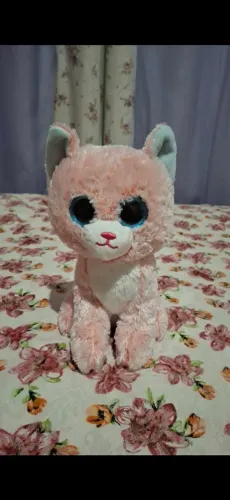 Gato Pelúcia 20 reias 