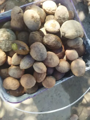vende se bauru