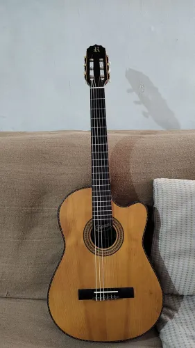 Violão rozini elétrico