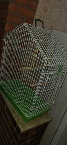 gaiola para passaros