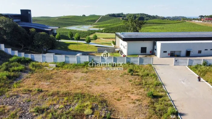 TERRENO PLANO AO LADO DA VINICOLA ARGENTA
