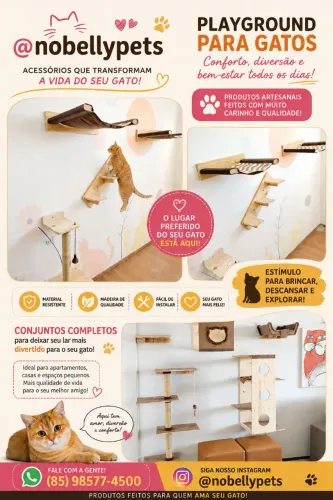 playgraud para gatos