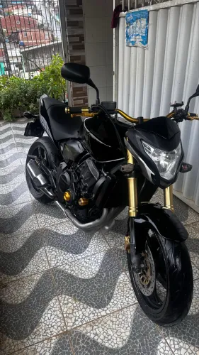 Hornet 2013 