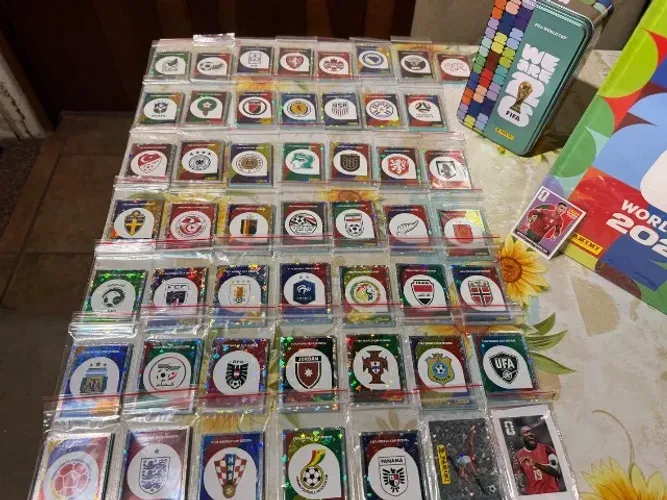 Álbum capa dura com todas figurinhas original paninni
