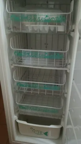 Freezer vertical