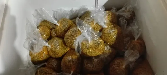 Vende - se pasta de maracujá 12,00 o quilo