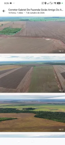 Fazenda de arrendamento soja, 1.000 hec no vale do Araguaia TO.